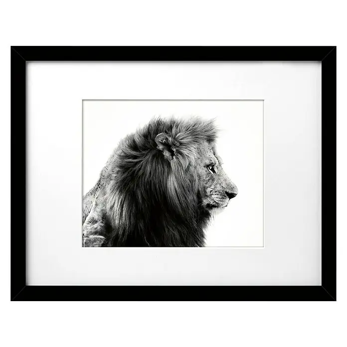 Cuadro León - Lion, An x Al: 40 x 30 cm