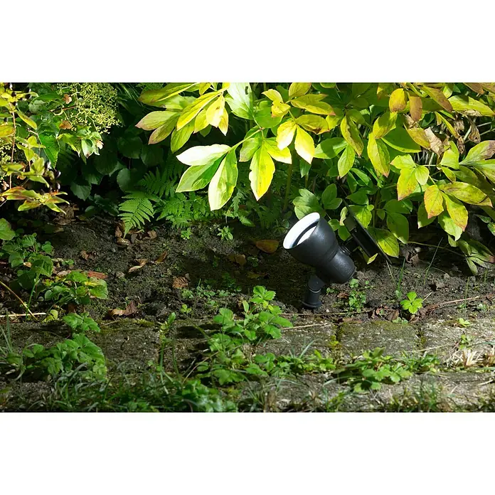 Solarna svjetiljka - LED, Crne boje, Visina: 18,5 cm