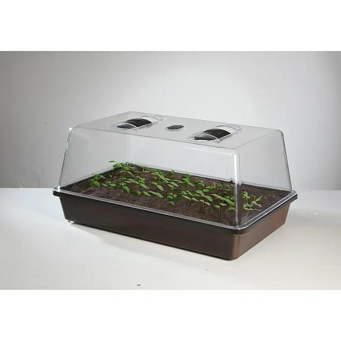 Floraworld Sobni staklenik Classic - 38 x 24 x 18,5 cm, Crne boje - Proizvod u upotrebi