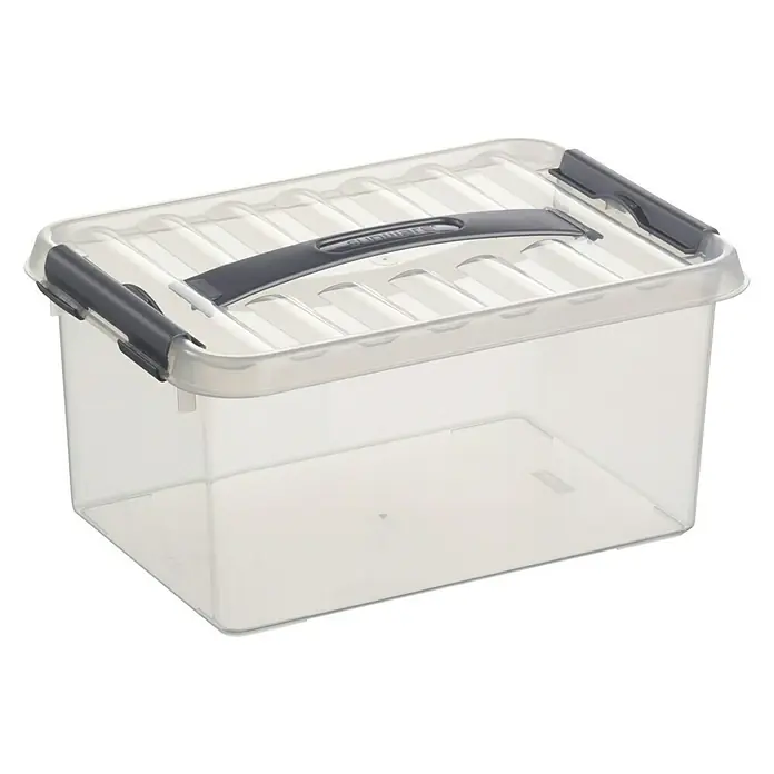 Sunware Aufbewahrungsbox Q-Line - L x B x H: 30,7 x 20 x 14,3 cm, Kunststoff, Transparent, Farbe Griff: Schwarz - Linke Seitenansicht