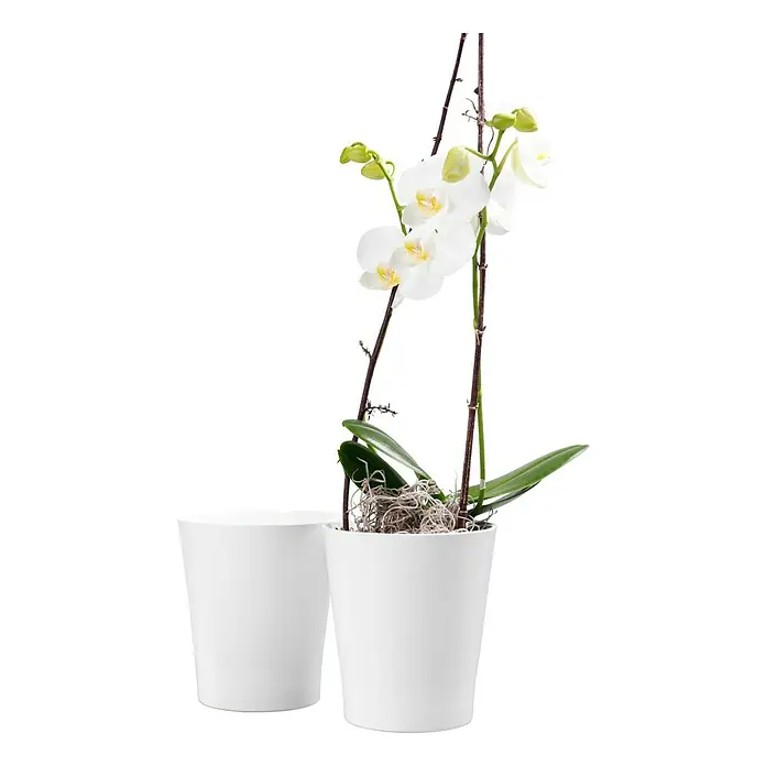 SK Orchideentopf Merina - Außenmaß (Ø x H): 7 x 8 cm, Keramik, Weiß, Glänzend - Stimmungsaufnahme