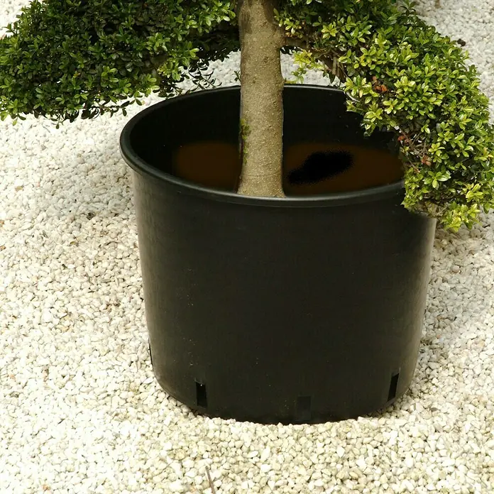 Floraworld Comfort Pflanzencontainer - 45 l, Kunststoff, Schwarz - Anwendungsbeispiel