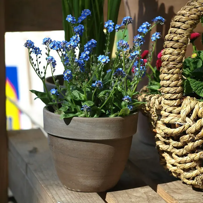 Pflanztopf Levante - Außenmaß (Ø x H): 19 x 16 cm, Naturmaterialien, Basalt - Stimmungsaufnahme