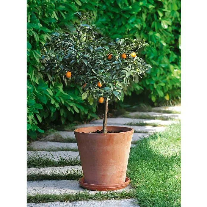 Deroma Moka Garden Pflanztopf Vaso Cono - Außenmaß (Ø x H): 35,7 x 32,9 cm, Naturmaterialien, Graphit