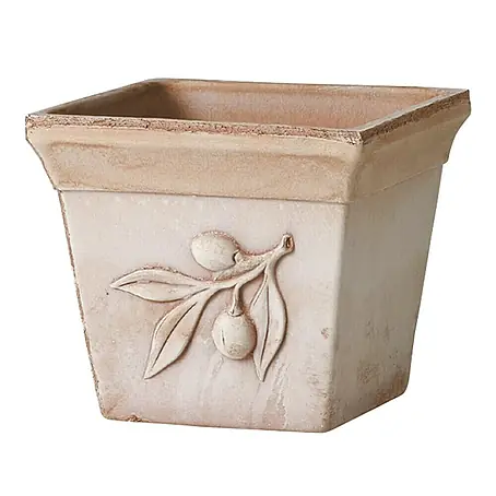 Deroma Olive Pflanzkasten Quadro