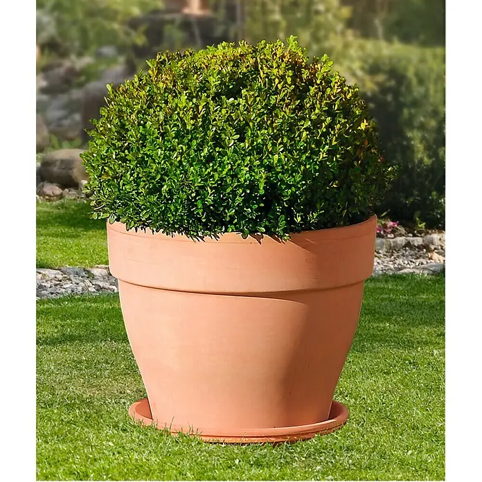 Deroma White Garden Pflanztopf Montelupo Set - Außenmaß (Ø x H): 27 x 24,5 cm, Naturmaterialien, Tonweiß