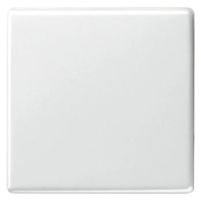 Gira Standard 55 Universalwippe - Reinweiß, Hochglanz, Kunststoff, IP20, Unterputz - Vorderansicht