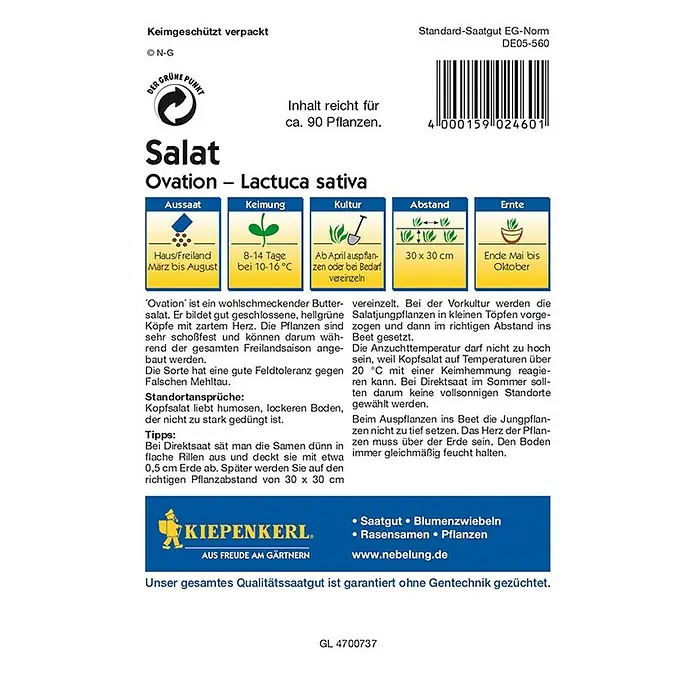 Kiepenkerl Profi-Line Salatsamen Kopfsalat Ovation - Lactuca sativa var. capitata, Erntezeit: Juni - Rückansicht