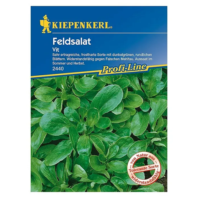 Kiepenkerl Profi-Line Salatsamen Feldsalat Vit - Valerianella locusta, Erntezeit: Januar - Vorderansicht