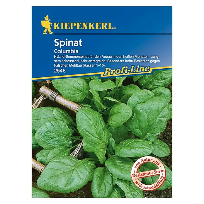 Kiepenkerl Profi-Line Gemüsesamen Spinat Columbia - Spinacia oleracea, Erntezeit: Juni - Vorderansicht