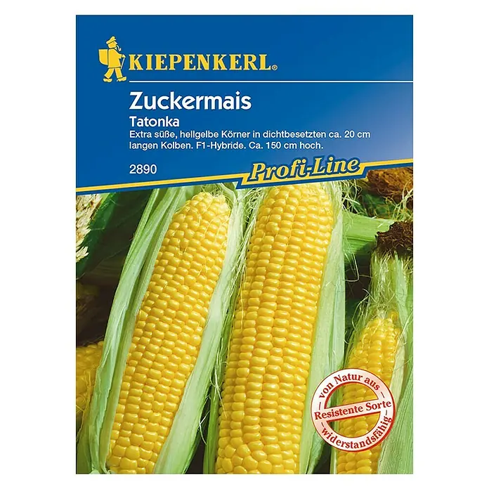 Kiepenkerl Profi-Line Gemüsesamen Zuckermais Tatonka - Zea mays ssp. saccharata, Erntezeit: August - Vorderansicht