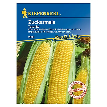 Kiepenkerl Profi-Line Gemüsesamen Zuckermais Tatonka