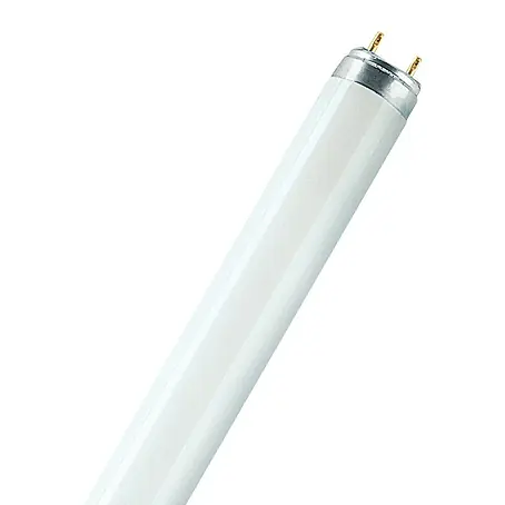 Osram  Leuchtstoffröhre Skywhite