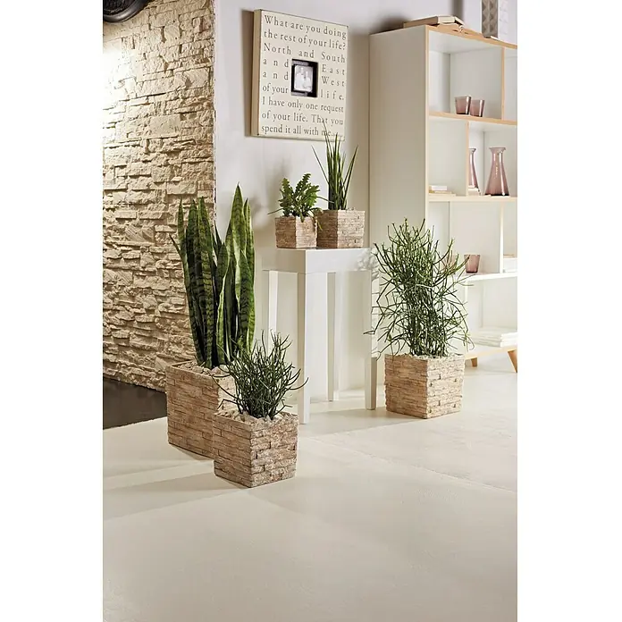 SK Latina Četvrtasta tegla za cvijeće Latina - Vanjska dimenzija (D x Š x V): 28 x 14 x 14 cm, Keramika, Kameno bež, Izgled kamena - Živopisni prikaz
