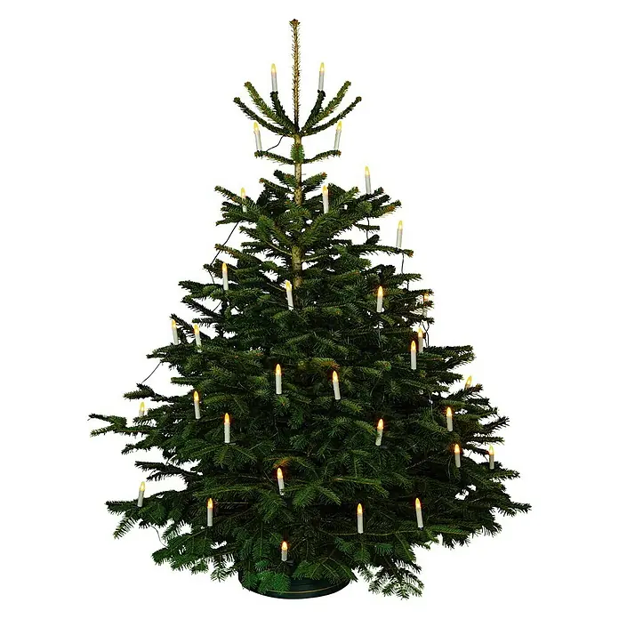 Tween Light Velas navideñas - Para interior, 30 luces, Blanco cálido, Longitud del cable: 13,05 m
