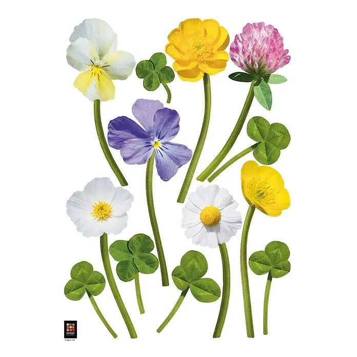 Wandtattoo - Wildblumen - Vorderansicht