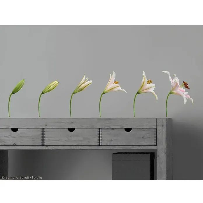 Wandtattoo - Lilien, 48 x 68 cm - Stimmungsaufnahme