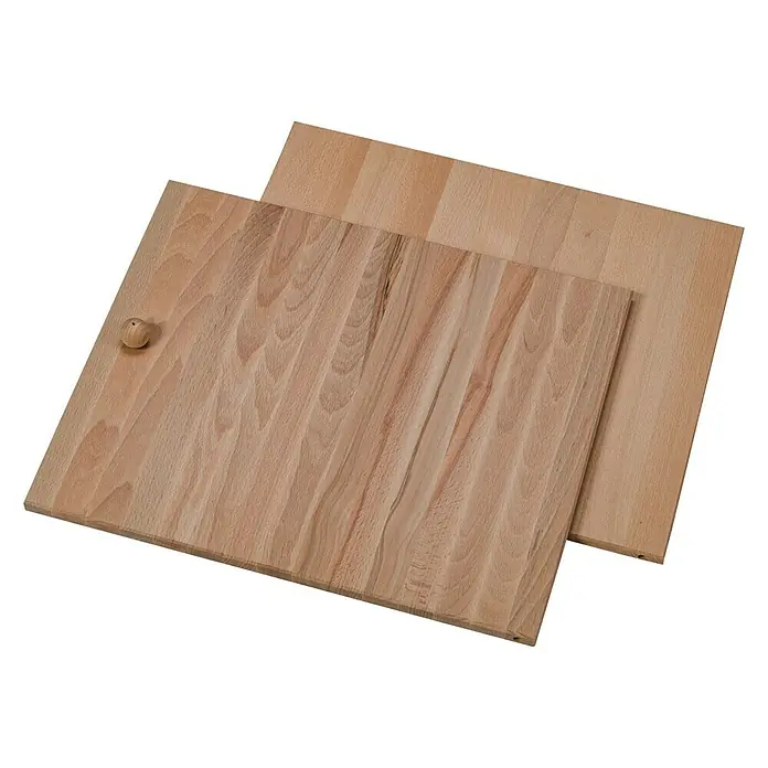 Regalux Regaltür & Rückwand-Set - 41,5 x 34,5 cm, Buche - Vorderansicht