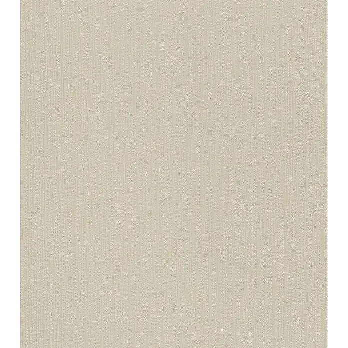 Rasch Vliestapete Home Style - Beige, Grobkörnig strukturiert, Uni, 15 x 0,53 m - Vorderansicht