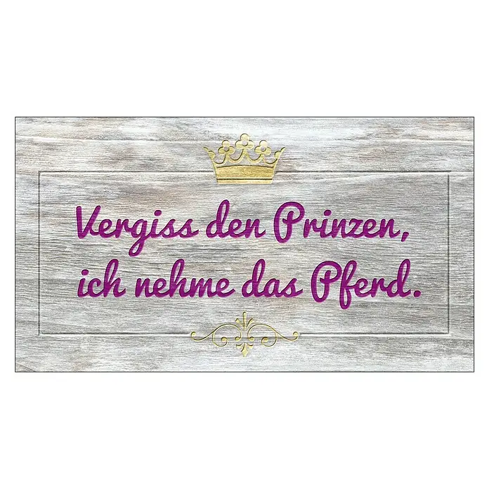 ProArt Type Hype Decopanel - Vergiss den Prinzen ..., B x H: 30 x 15 cm - Vorderansicht
