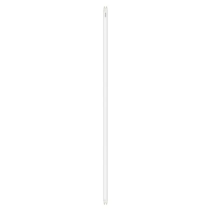 Osram Led-buis SubstiTUBE PURE ST8P-EM - T8, Koud wit, 18 W, Lengte: 121,2 cm - Top-down weergave