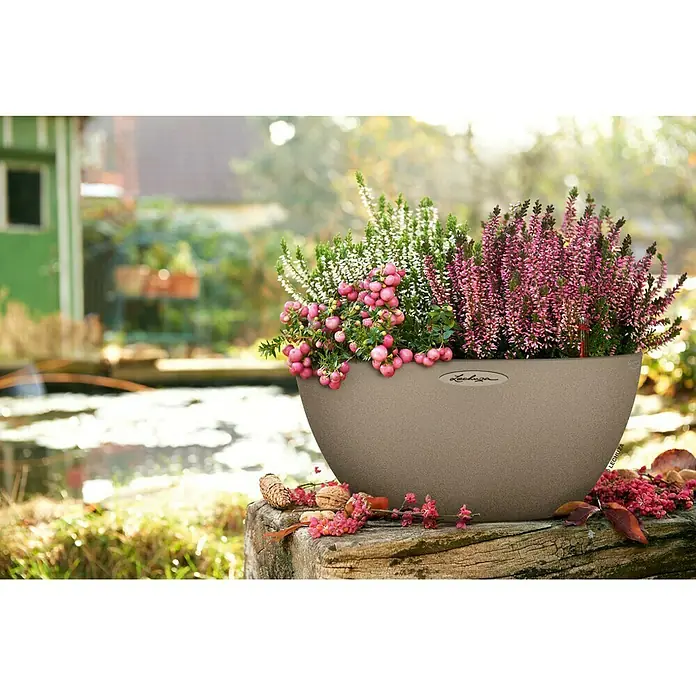 Lechuza Color Pflanzschale rund Cubeto - Außenmaß (Ø x H): 39,5 x 18,3 cm, Kunststoff, Sandbeige - Stimmungsaufnahme