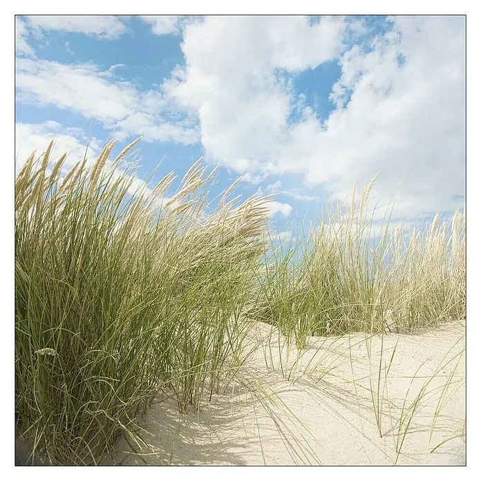 ProArt Maritime Glasbild - Sommertag I, B x H: 20 x 20 cm - Vorderansicht