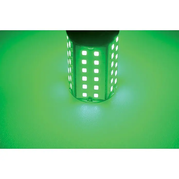 Talamex LED-Navigationsleuchtmittel für Boote - 4,8 W, 10 V - 30 V, Lichtfarbe: Grün