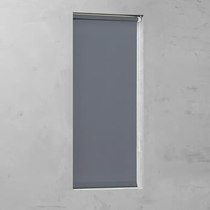 Expo Ambiente Rolo - Š x V: 80 x 190 cm, Sive boje, Propusno za danje svjetlo - Pogled sprijeda
