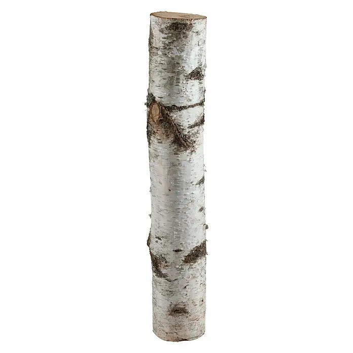 Exclusivholz Birkenstamm - 0,8 m, Durchmesser: 5 cm - 10 cm, Unbehandelt