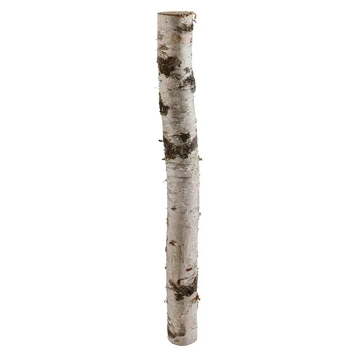 Exclusivholz Birkenstamm - 0,8 m, Durchmesser: 5 cm - 10 cm, Unbehandelt