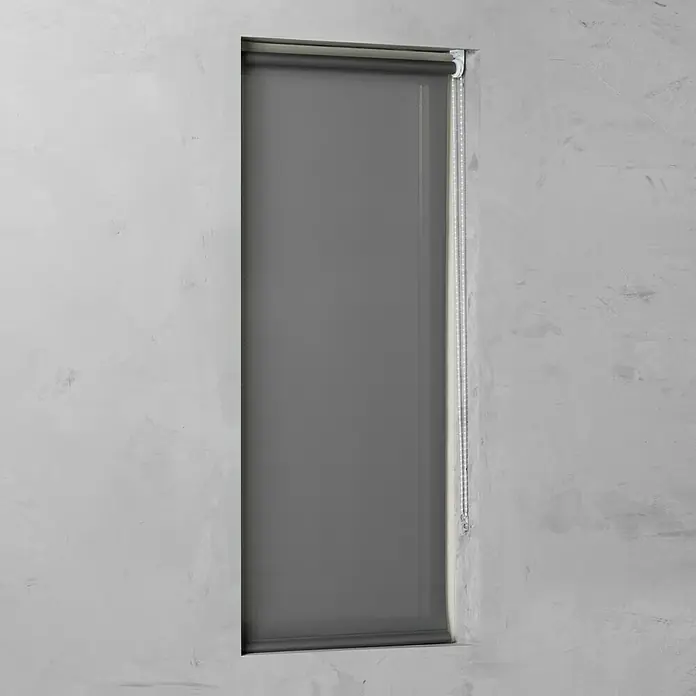Rolo Basic - Š x V: 60 x 175 cm, Sive boje, Propusno za danje svjetlo - Pogled sprijeda