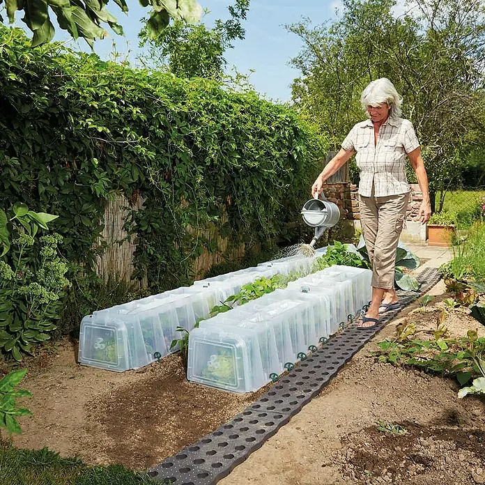 Garantia Sunny Pflanztunnel - 40 x 105 x 30 cm - Anwendungsbeispiel