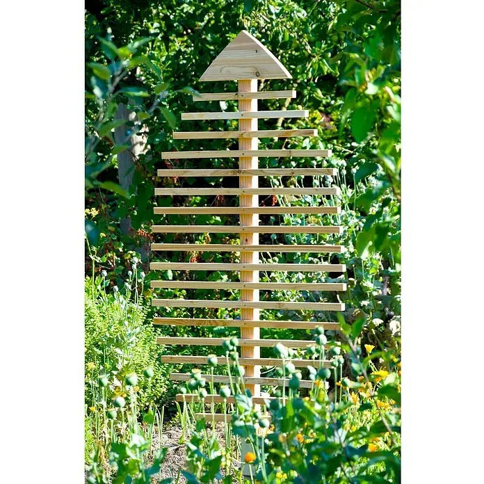 Dobar Rankhilfe Fagus - B x H: 84 x 160 cm, Hellbraun - Stimmungsaufnahme