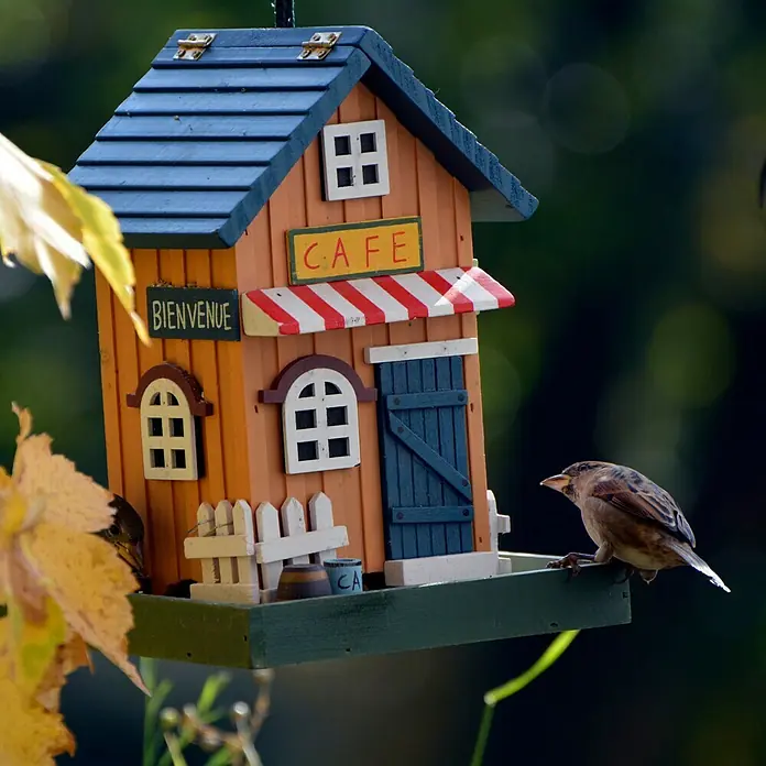 Dobar Vogelhaus Cafe - 18 x 18 x 23 cm - Stimmungsaufnahme