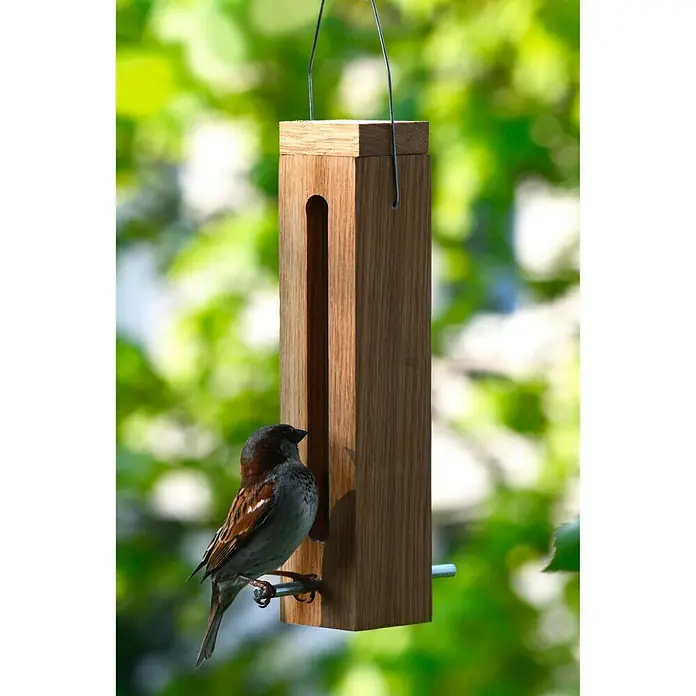 Dobar Futtersäule - 5 x 5 x 23 cm, Eiche - Stimmungsaufnahme