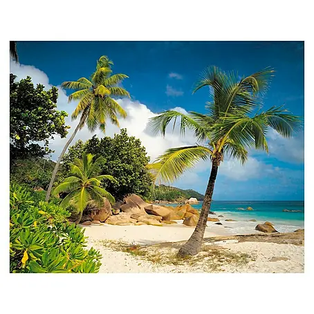 Foto tapeta Praslin