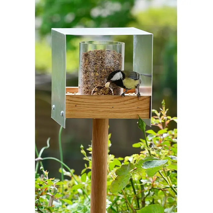 Dobar Vogelhaus Luxus Bauhaus 2 - 15 x 16 x 161 cm, Natur, Holz - Stimmungsaufnahme