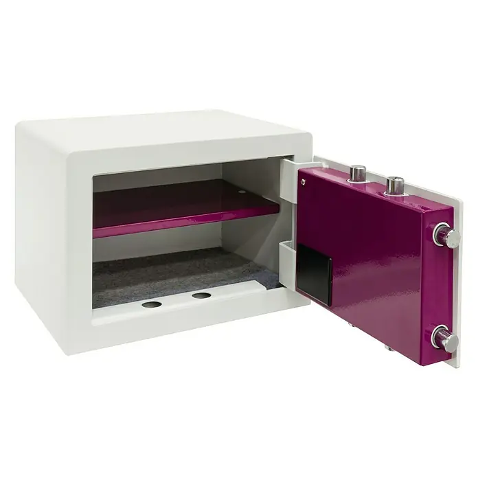 Arregui Caja fuerte para muebles Forma Evolution 150040 - L x An x Al: 38,5 x 30 x 27 cm, Tipo de cerradura: Códigos de usuario - Vista angular