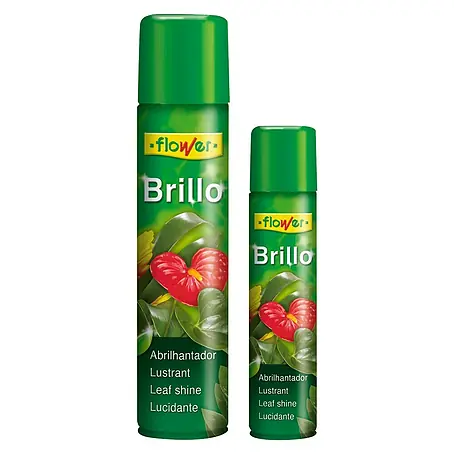 Flower  Abrillantador foliar