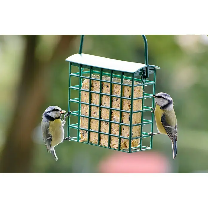 Dobar Wildvogelfutter Set - 8 Stk., Mit Futterspender - Stimmungsaufnahme