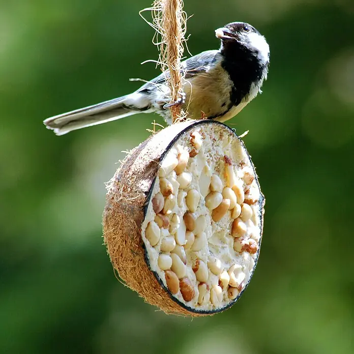 Dobar Wildvogelfutter Set - 10 Stk. - Stimmungsaufnahme