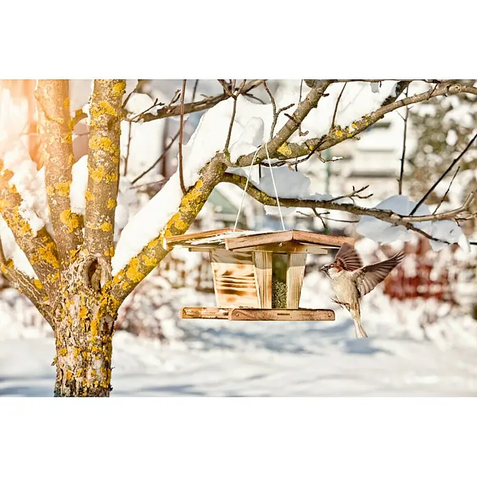 Windhager Vogelfutterhaus Chalet - L x B x H: 37 x 29,5 x 22 cm, Natur, Holz