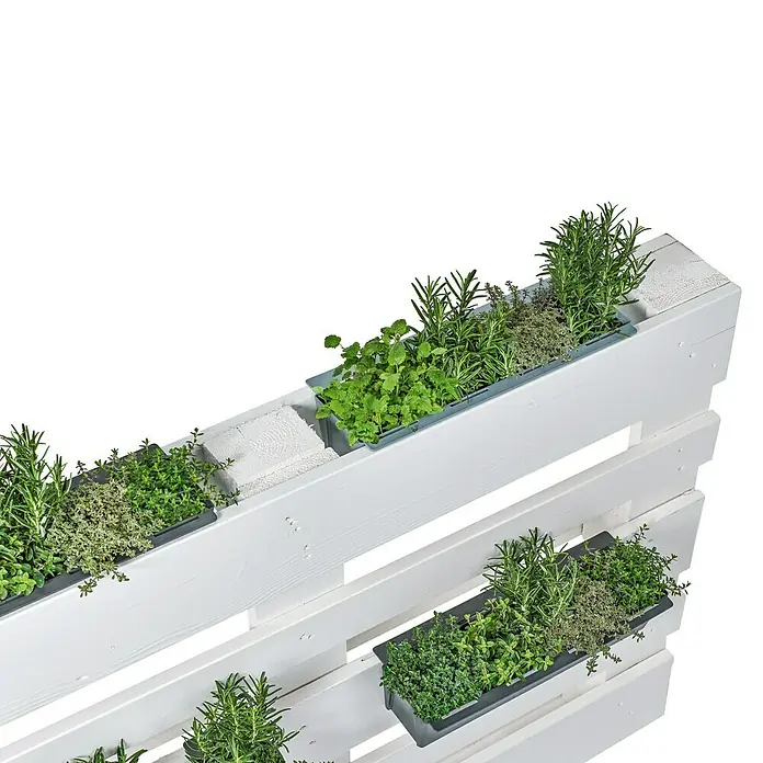 Geli Umetak za kutiju za biljke Easy - Vanjska dimenzija (D x Š x V): 37 x 10 x 10 cm, Plastika, Antracit - Proizvod u upotrebi