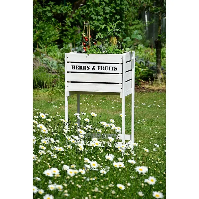 Dobar Hochbeet - 49 x 42 x 90 cm, Holz, Weiß - Stimmungsaufnahme