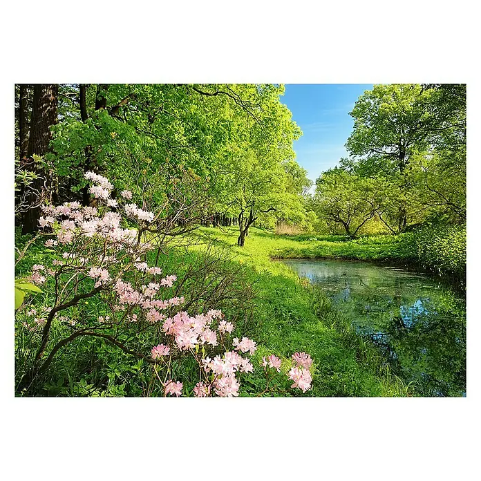 Fotomural Park in spring - An x Al: 366 x 254 cm