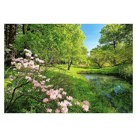 Fotomural Park in spring