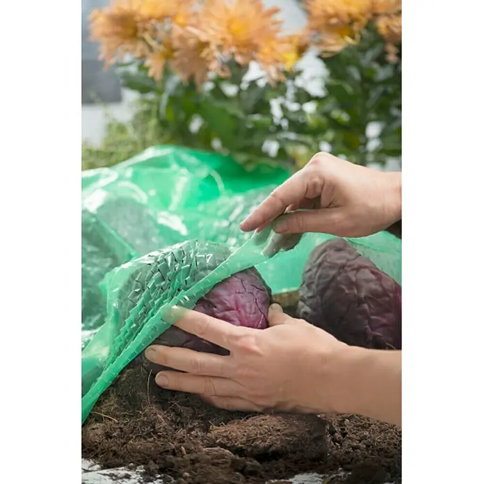 Windhager Folija za vrtne gredice - D x Š: 7,2 x 1,4 m, Zelene boje, Prozirno