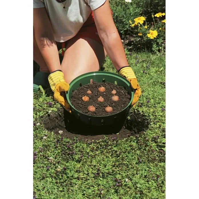 Windhager Blumenzwiebel-Pflanzschale eckig - L x B x H: 23,5 x 21 x 7 cm, Kunststoff, Grün