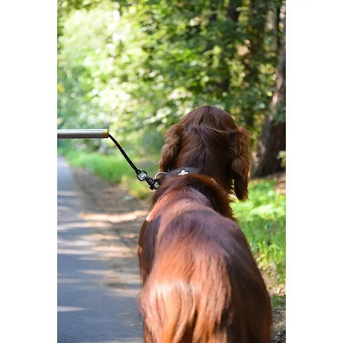 Dobar Hundeleine Walky Dog Plus - 37,5 cm - Stimmungsaufnahme
